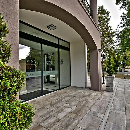 Boutique Hotel Divina-2