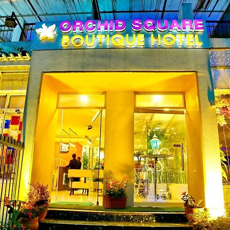 Orchid Square-2