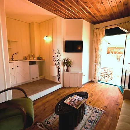 Pinecone Boutique Hotel-3