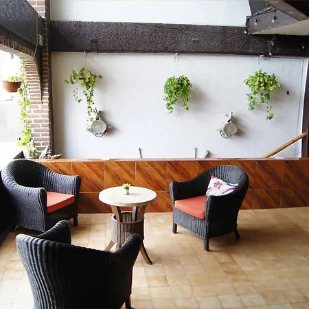 Cabo Tortuga Hotel Boutique-2