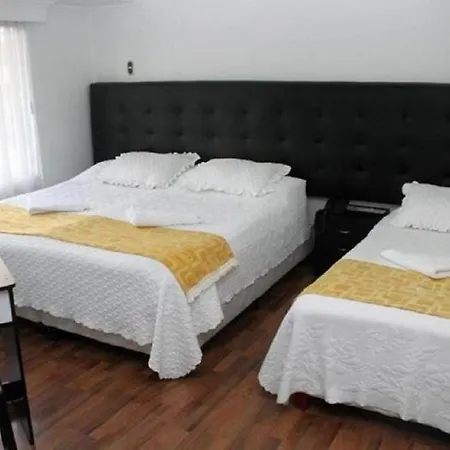 Hotel Ecoferia Boutique-3