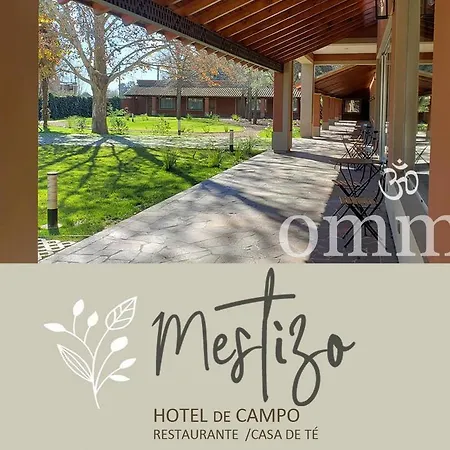 Mestizo Hotel-2