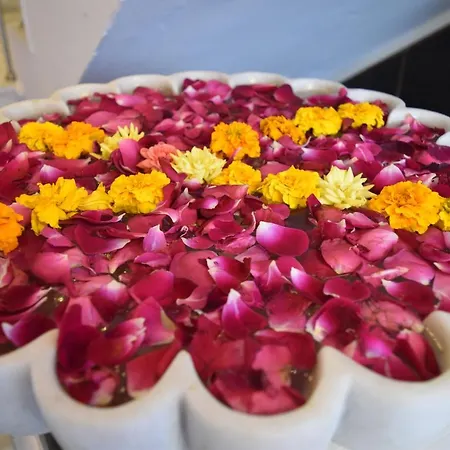 Thakur Boutique Hotel-3