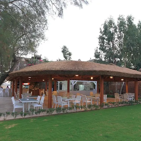 Camelot Boutique Hotel-2