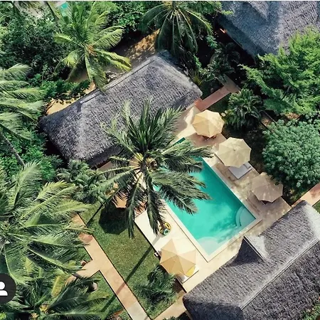 Palm Garden ECO Boutique Hotel No Kids under 12-2