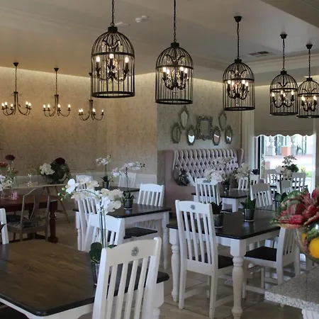 D Olive Rose Boutique Hotel Danielskuil-3