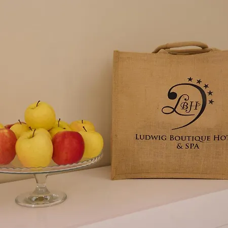 Ludwig Boutique Hotel & Spa-3