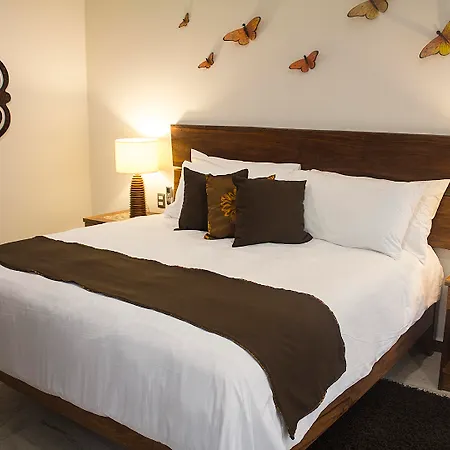 Casa Ticul Hotel Boutique - 5Th Ave (Adults Only)-3
