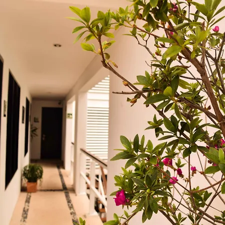 Casa Ticul Hotel Boutique - 5Th Ave (Adults Only)-2
