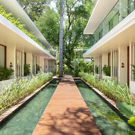 Fcc Angkor By Avani-2