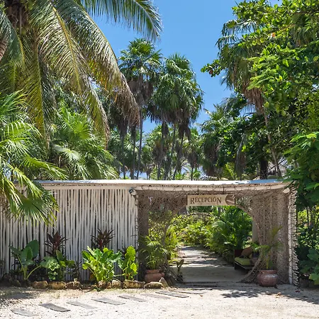 Los Amigos Beach Hotel Boutique-2