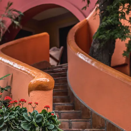 Collection O Casa Bella Hotel Boutique, Cabo San Lucas-2