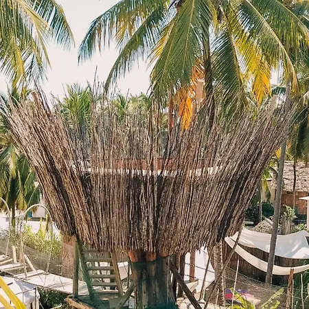 The Nest Boutique Resort-3