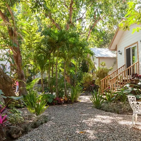 Angeli Gardens Boutique Hotel-2