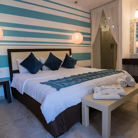 Posada Mariposa Boutique Hotel - 5Th Avenue-3