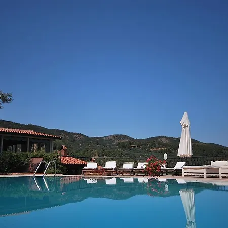 Pinecone Boutique Hotel-2