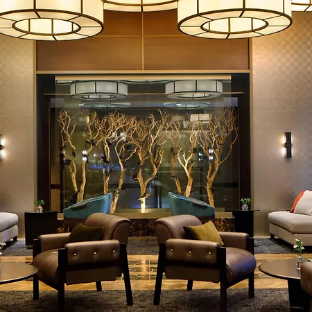 The Muse New York-3