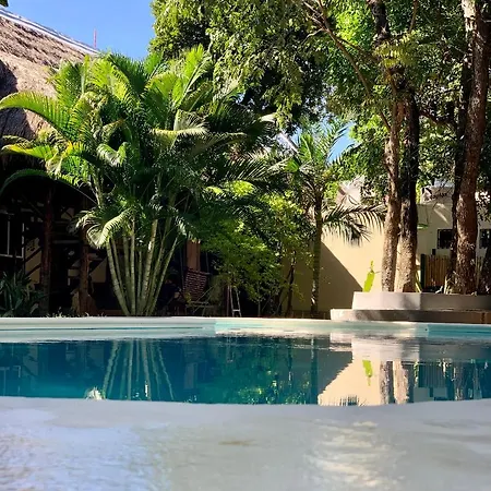 Ammare Hotel Boutique-2