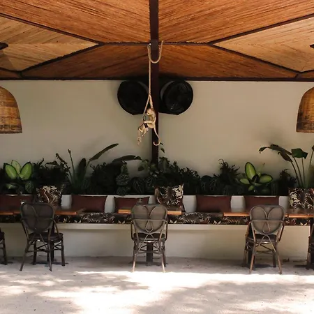 Curiol Boutique Hotel & Lounge-3