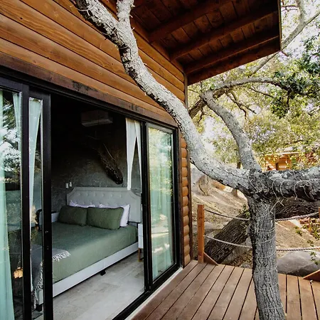 Boskenvid Hotel - Romantic Treehouses & Skypool-3