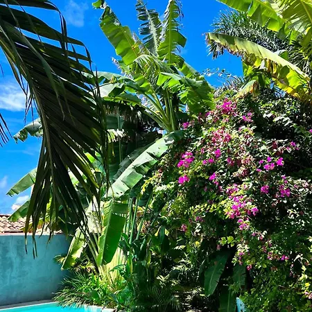 Castelo Pink Boutique Hotel-3