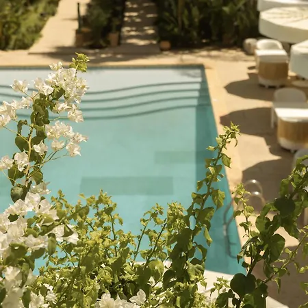 Les Palmiers Boutique Hôtel&Spa-2