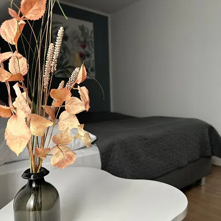 Boutique Hotel Viva Creativo-3