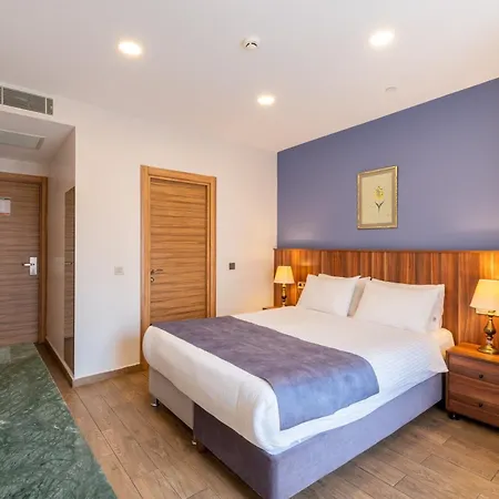 La Wisteria Boutique Hotel Istanbul-2