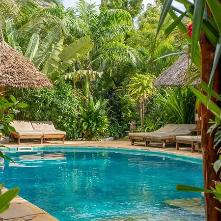 Maisha Nungwi - Boutique Hotel-2