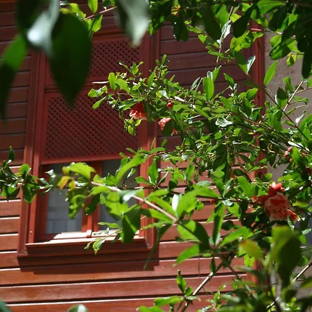 Ionas Boutique Hotel-3