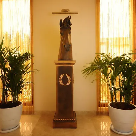 Blueberry Boutique Hotel-2