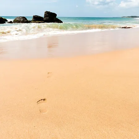 Turtle Bay Boutique Hotel-2