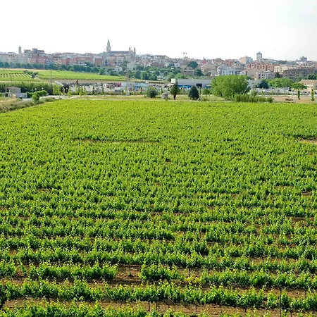 Mastinell Cava & Boutique Hotel By Olivia Hotels Collection-3
