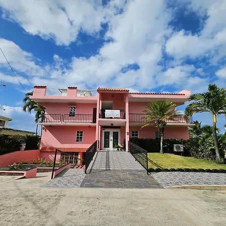 Selva Boutique Hotel - Luquillo Oceanfront Retreat - Adults Only-3