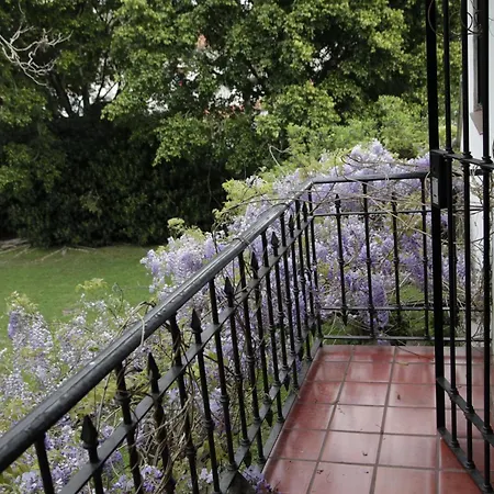Susana Just Boutique Hotel-3