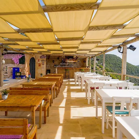 Mojo Sunset Boutique Hotel-2
