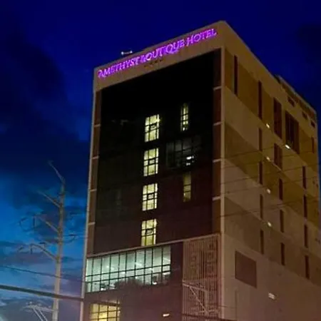 Amethyst Boutique Hotel Cebu Powered By Cocotel-2