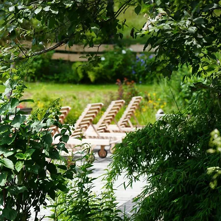 Boutique Hotel Herzhof - Garni-Appartements - Adults Only-3