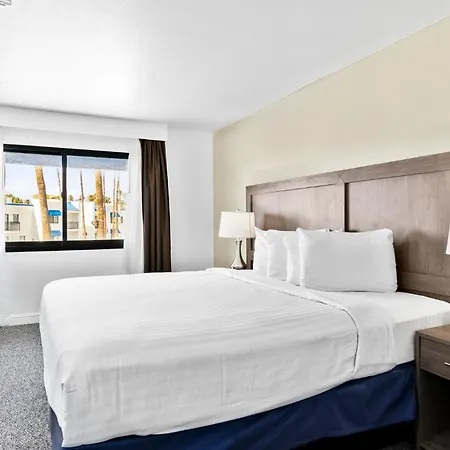 Serene Vegas Boutique Hotel Las Vegas-3