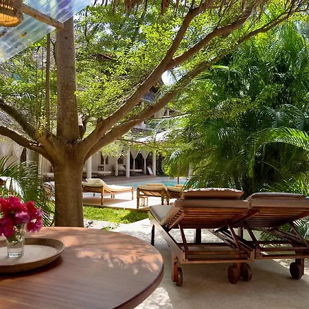 Palm Garden Eco Boutique Hotel No Kids Under 12-3