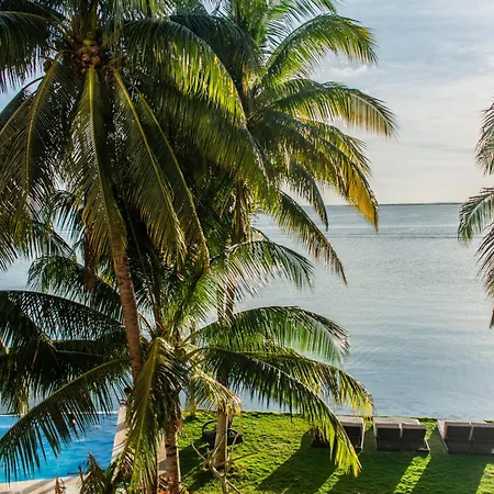 Casa Tortugas Boutique Hotel - A Hidden Gem In Cancun-3