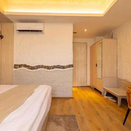 Arushi Boutique Hotel-3