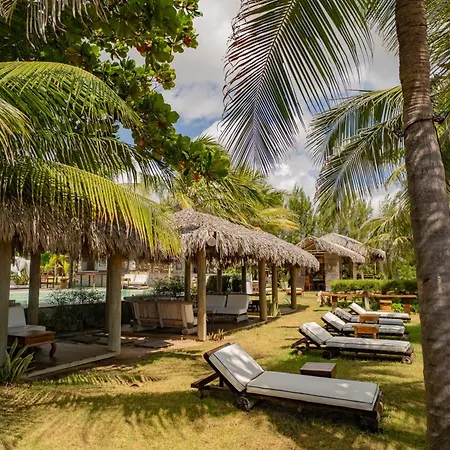 Zebra Boutique Hotel-3
