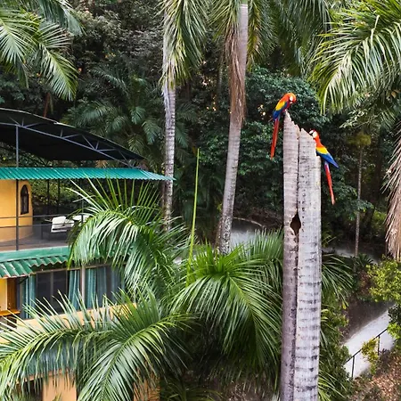 Boutique Hotel Las Cascadas-3