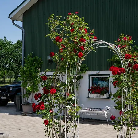 Boutique-Hotel Art Zone Ranch-3