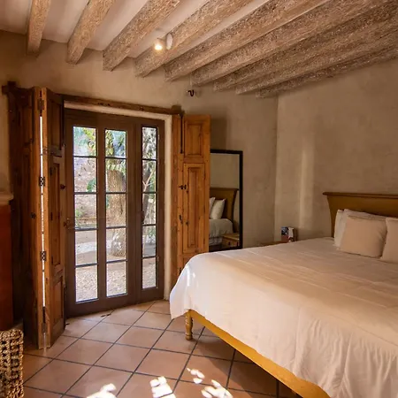 Casa Raiz-2