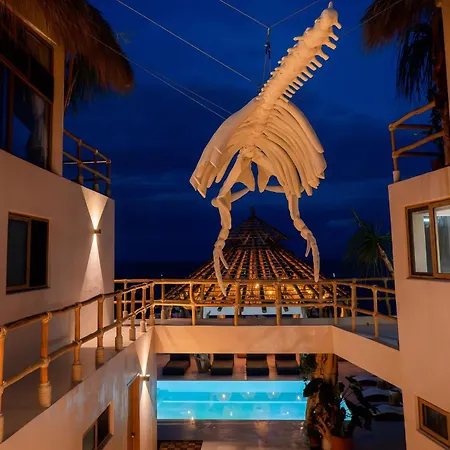 Xeno Hotel Boutique-3