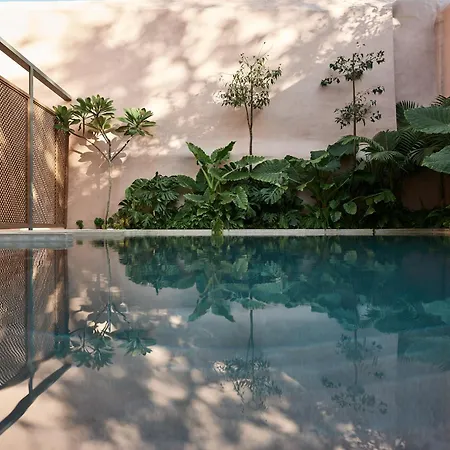 Domus Blanc Boutique Hotel-2