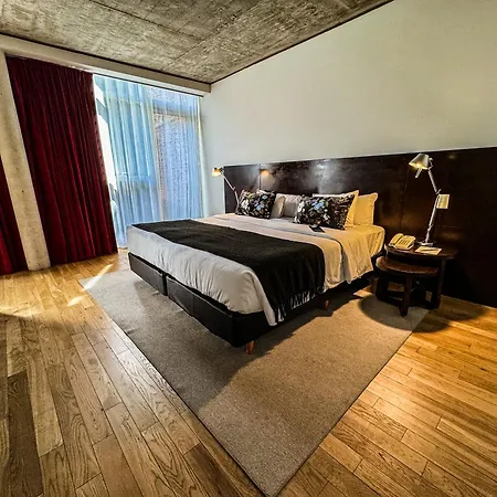 Anselmo Buenos Aires, Curio Collection by Hilton-3