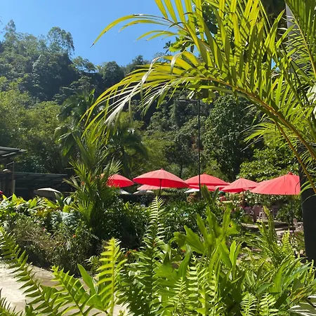 Hotel Boutique Rossé-3
